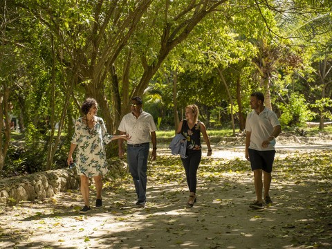 Fundaci&oacute;n Grupo Puntacana y Embajada de Canad&aacute; aprovechan sargazo para agricultura sostenible y soluciones medioambientales